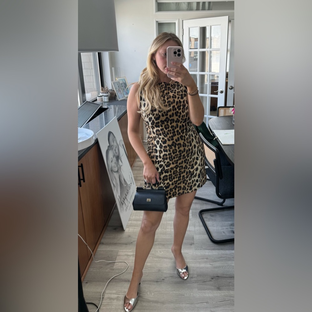 Zara animal print dress 
ZW collection